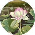 Bellamy Avatar
